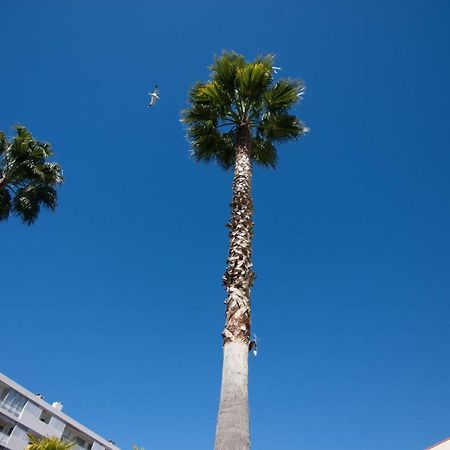 Le Parc Pointe Croisette Apartment Cannes Exterior photo